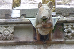 Melrose Abbey piping pig 2013
